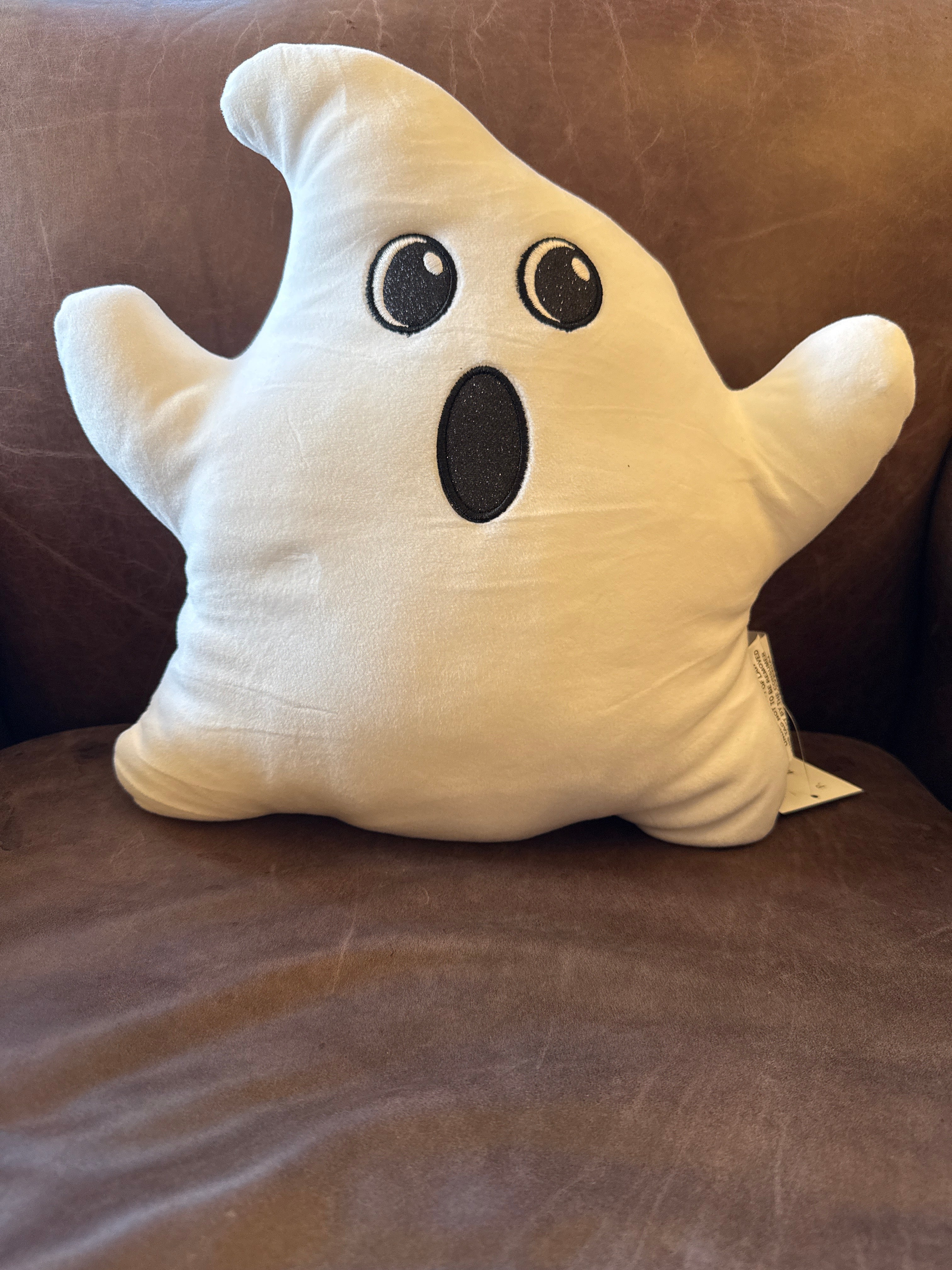 Ghost and Bat Pillows