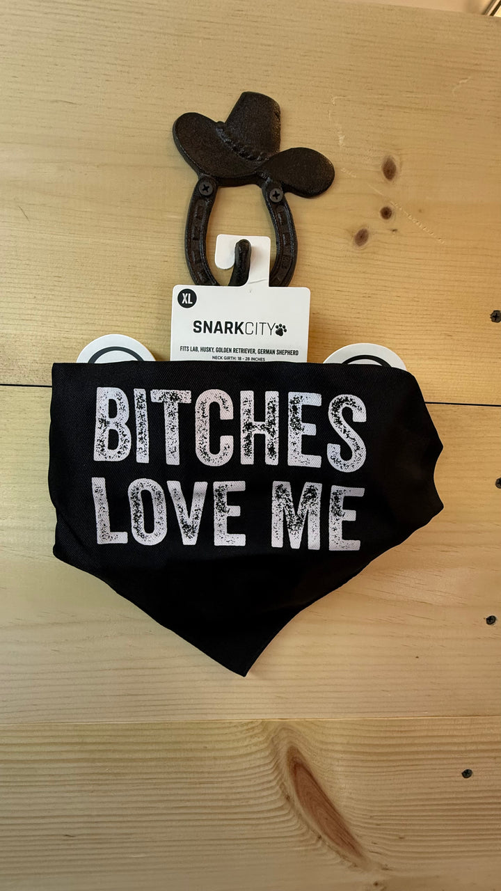 B***ches Love Me Neck Tie