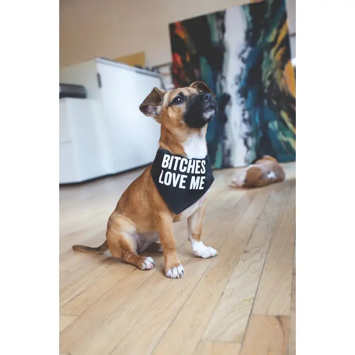 B***ches Love Me Neck Tie