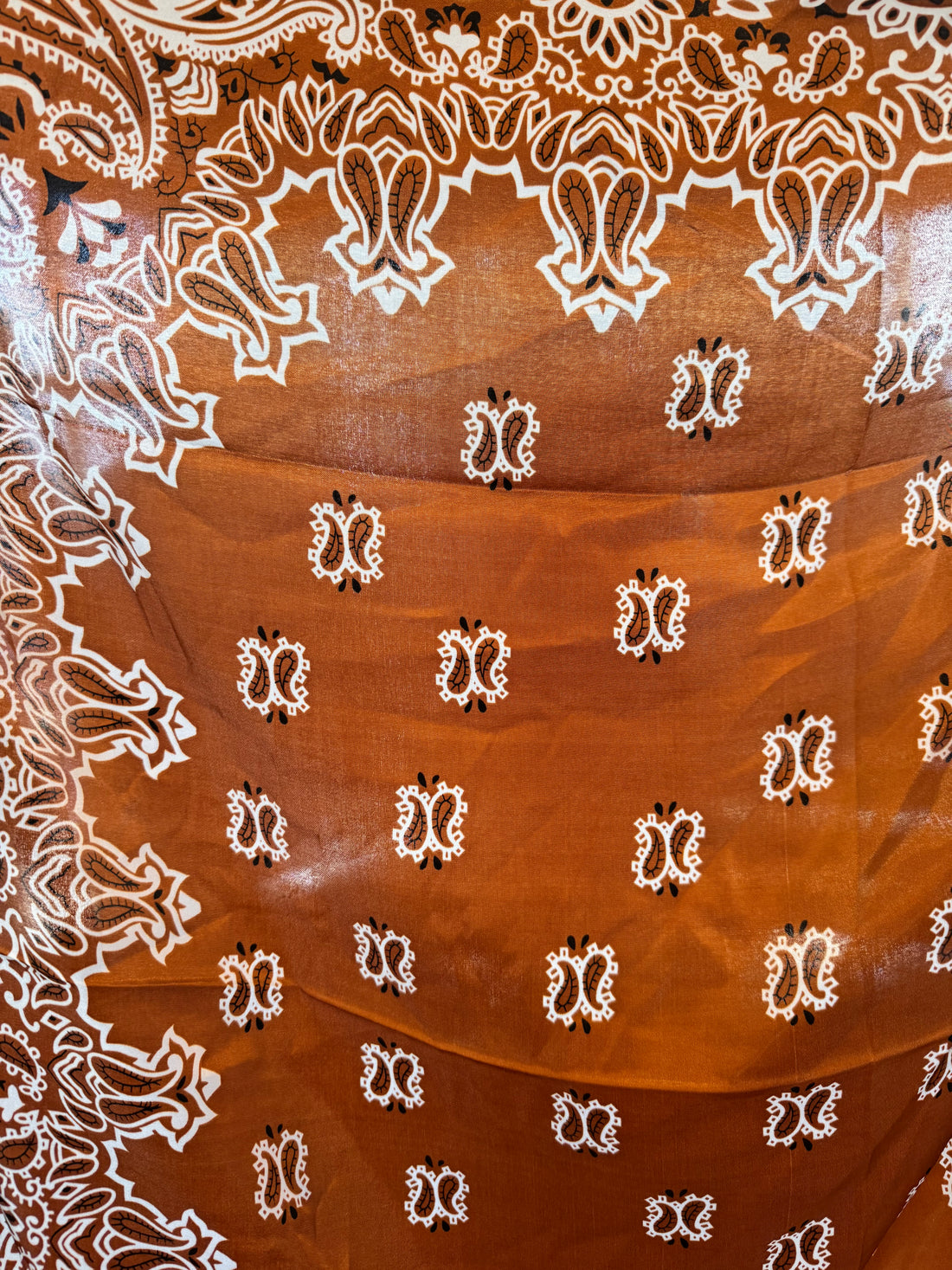Wild Rags Brown Paisley