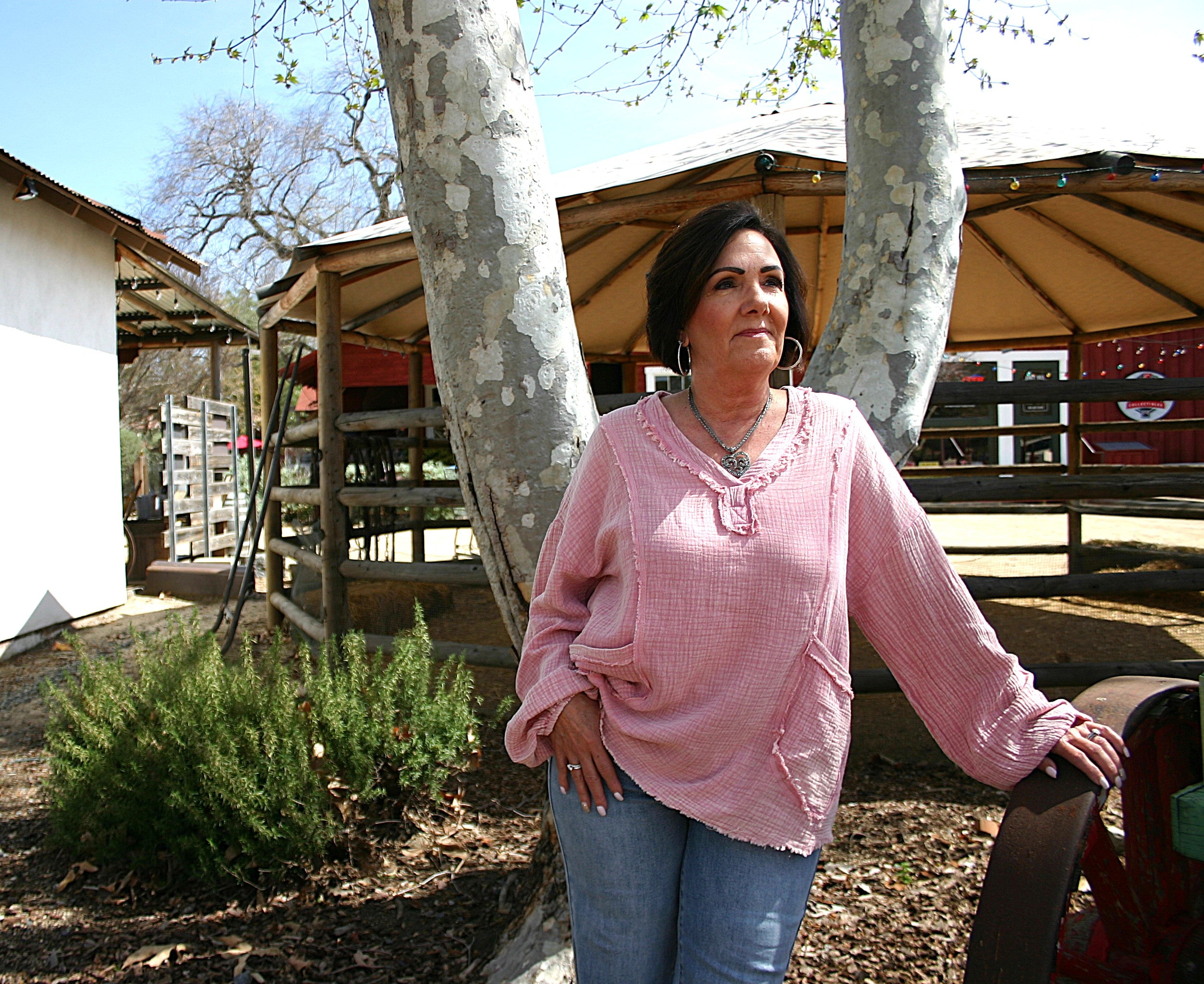 Dusty Rose Woven Shirt