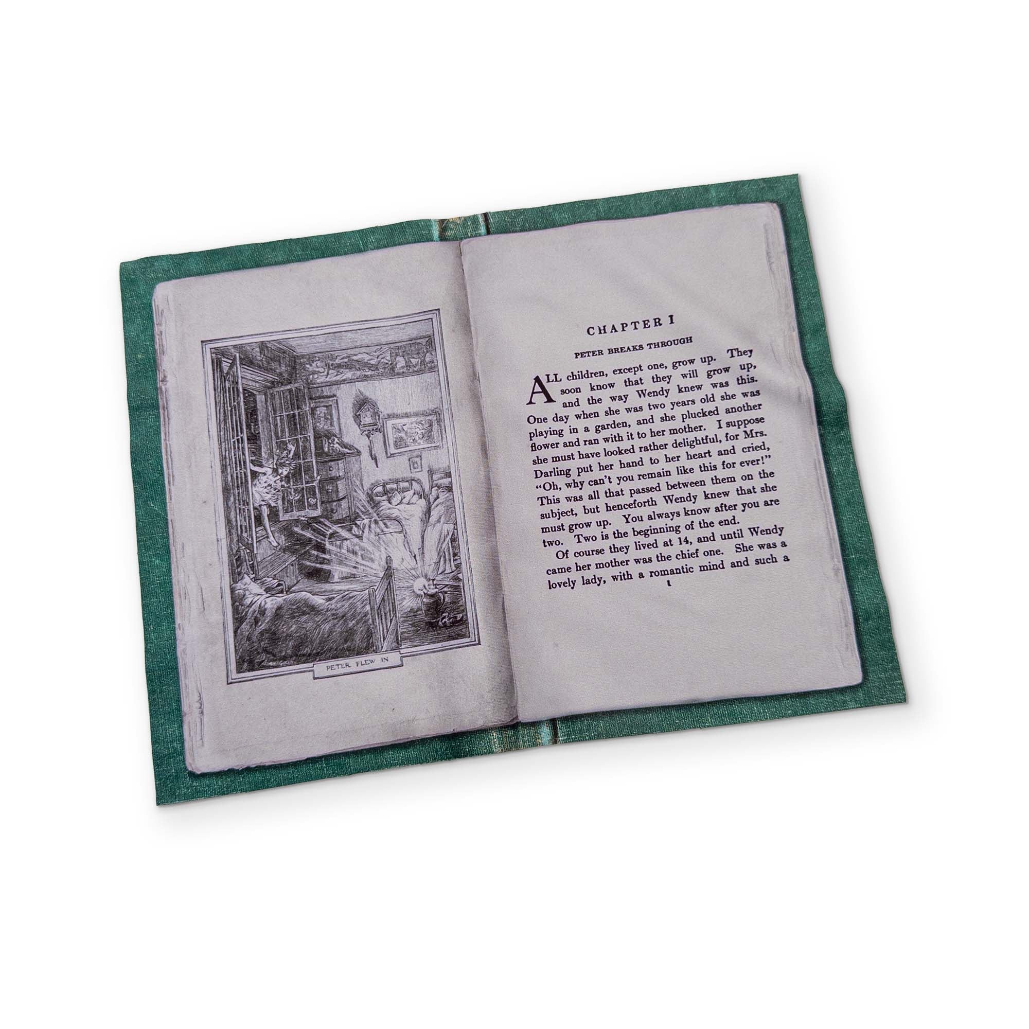 Jinkies Cleaning Cloth | Book Lover & Screen Cleaning Cloth