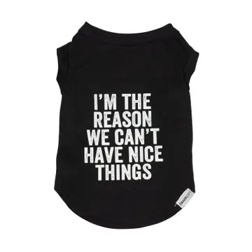 I'm the Reason Pet Tee